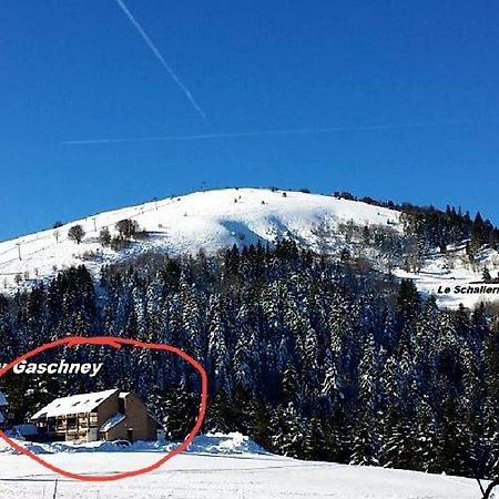 Le Montagnard Au Pied Des Pistes, Station Du Gaschney, Altitude 1000 M Apartamento Muhlbach-sur-Munster Exterior foto