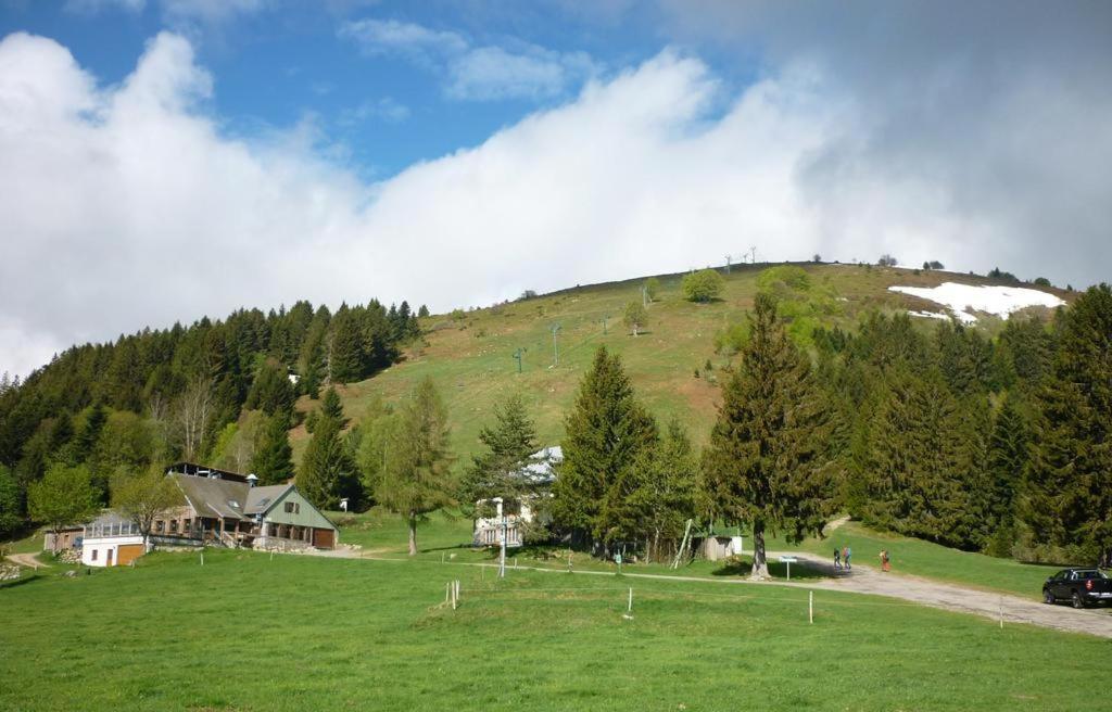 Le Montagnard Au Pied Des Pistes, Station Du Gaschney, Altitude 1000 M Apartamento Muhlbach-sur-Munster Exterior foto