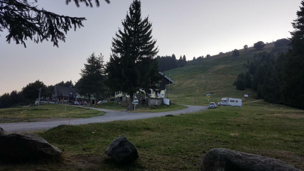 Le Montagnard Au Pied Des Pistes, Station Du Gaschney, Altitude 1000 M Apartamento Muhlbach-sur-Munster Exterior foto