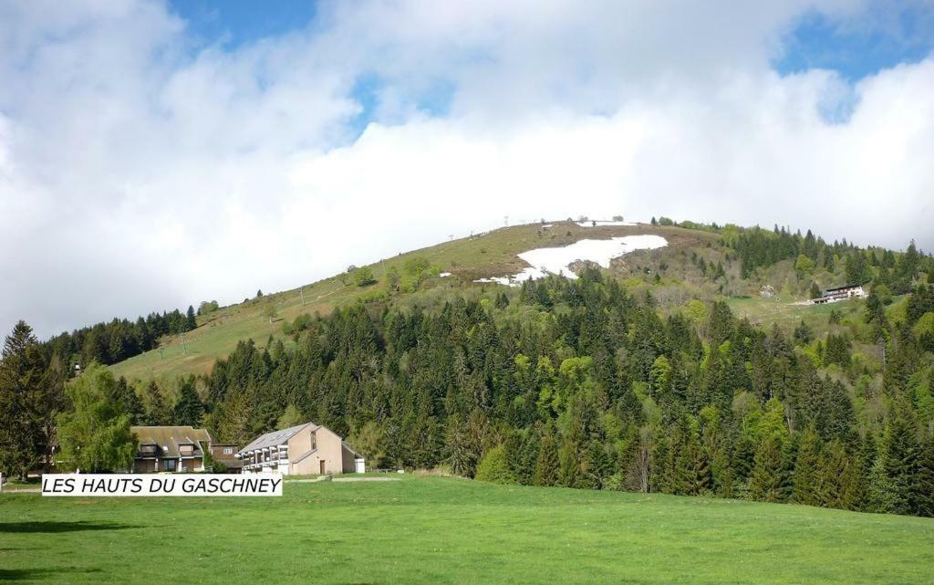 Le Montagnard Au Pied Des Pistes, Station Du Gaschney, Altitude 1000 M Apartamento Muhlbach-sur-Munster Exterior foto