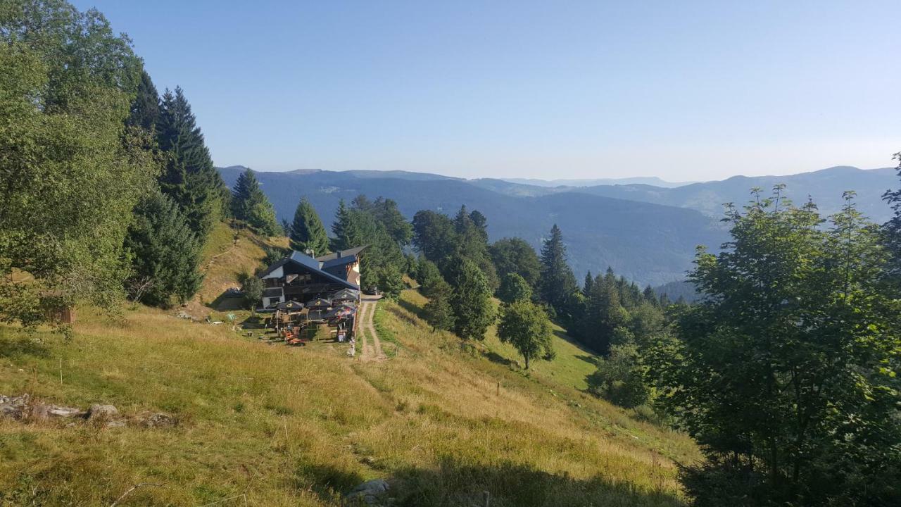 Le Montagnard Au Pied Des Pistes, Station Du Gaschney, Altitude 1000 M Apartamento Muhlbach-sur-Munster Exterior foto