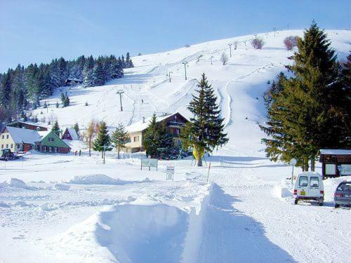 Le Montagnard Au Pied Des Pistes, Station Du Gaschney, Altitude 1000 M Apartamento Muhlbach-sur-Munster Exterior foto